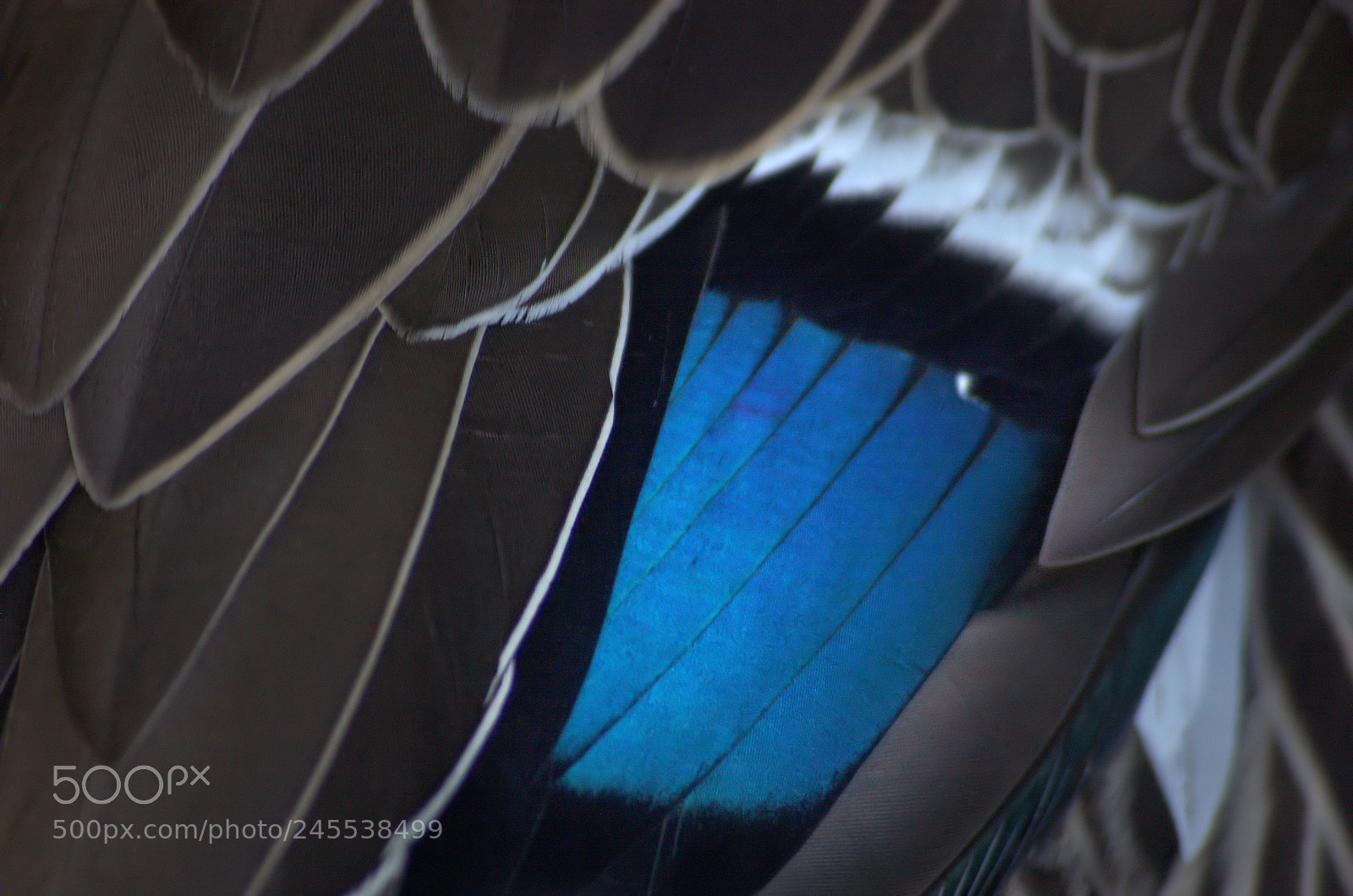 Nikon D40 sample photo. The deep blue photography
