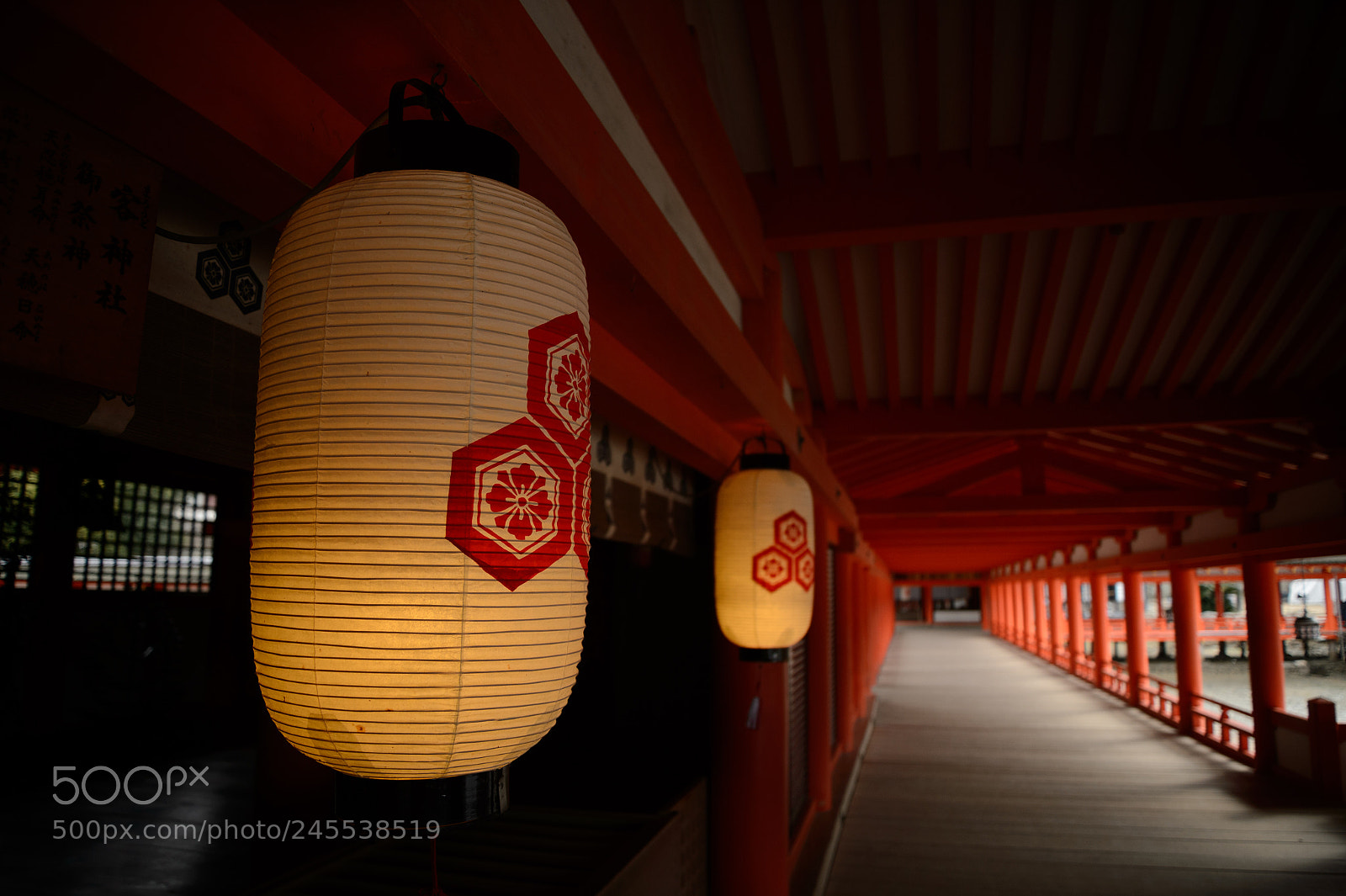 Nikon Df sample photo. Lantern photography