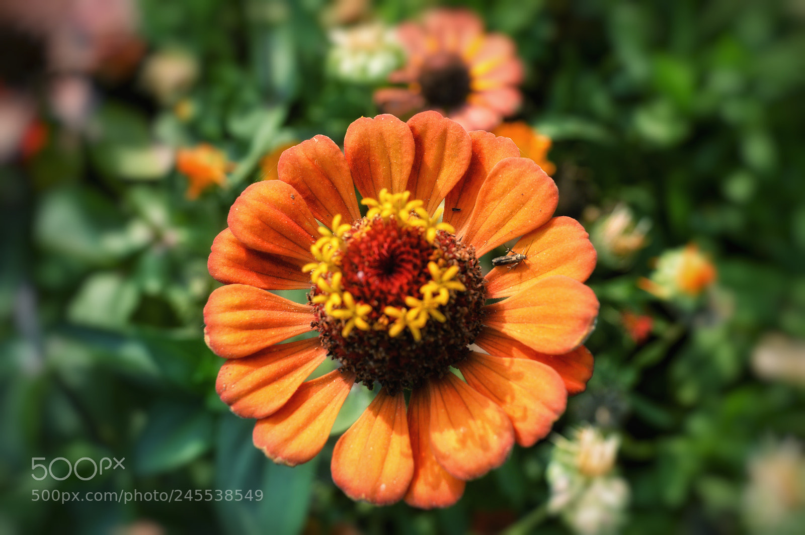 Nikon D3200 sample photo. Untitled photography