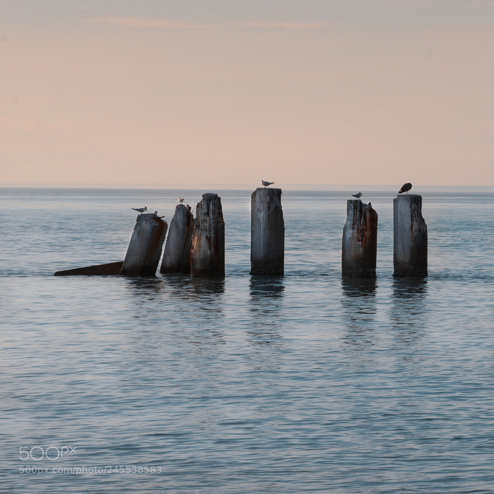 Hasselblad X1D-50c sample photo. Abandoned shipping pier photography