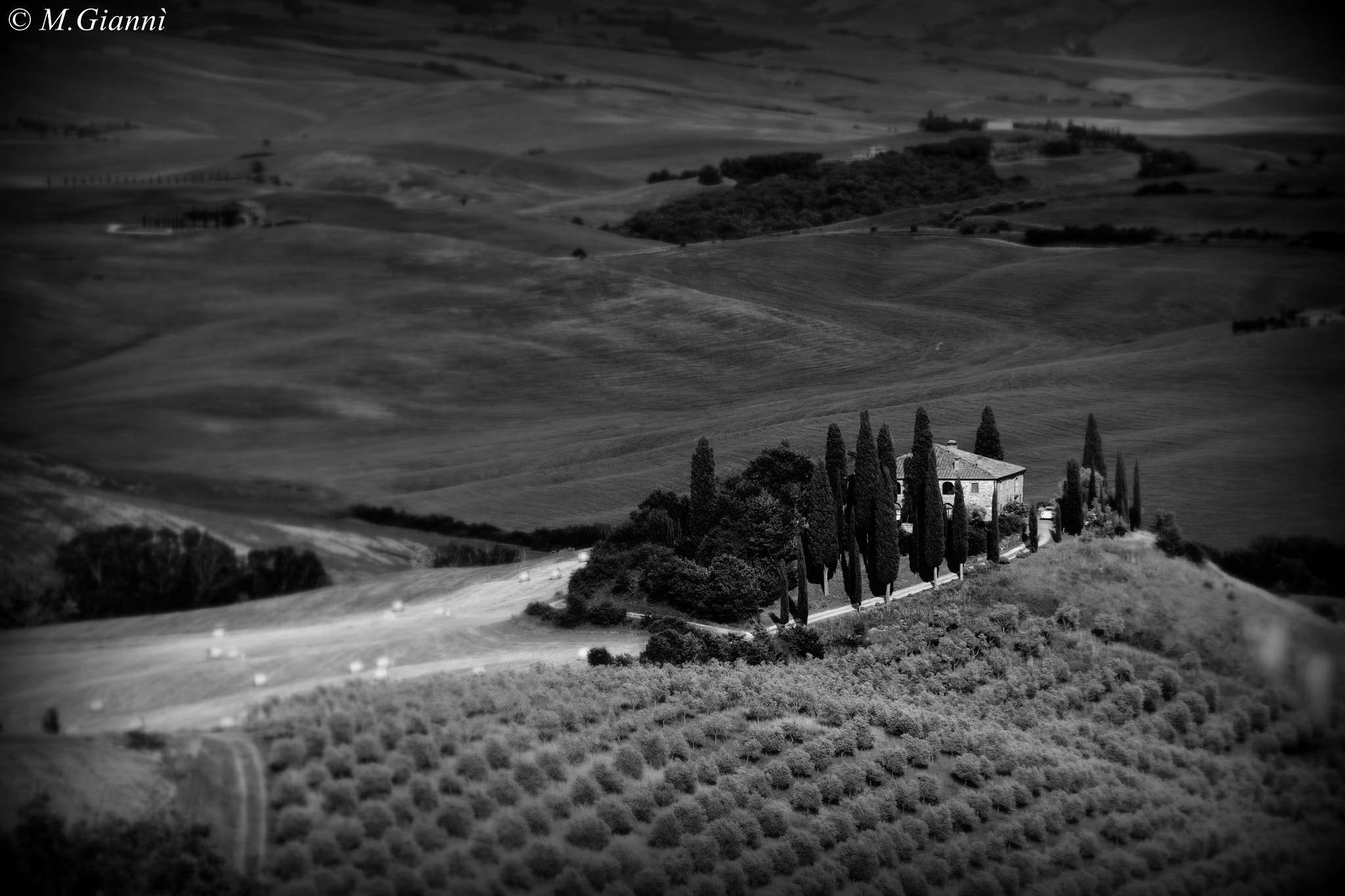 Nikon D3100 sample photo. Podere belvedere (b&w) photography