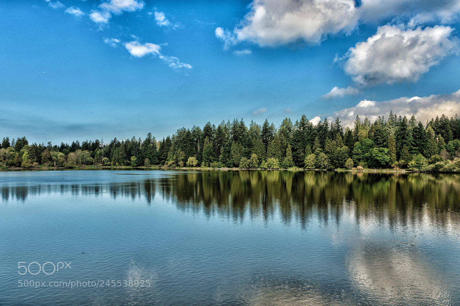 Nikon D5500 sample photo. Stanley park photography