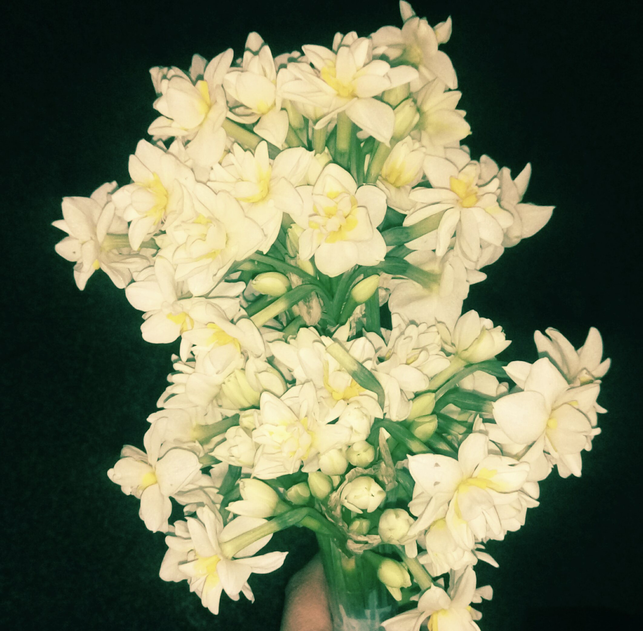 HTC ONE E9 DUAL SIM sample photo