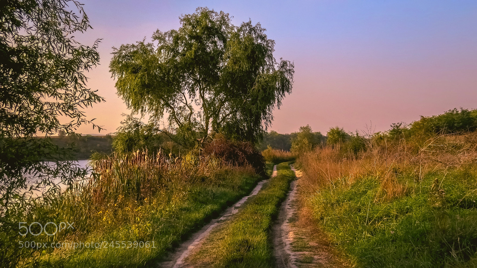 Canon PowerShot SX50 HS sample photo. Dirt road photography