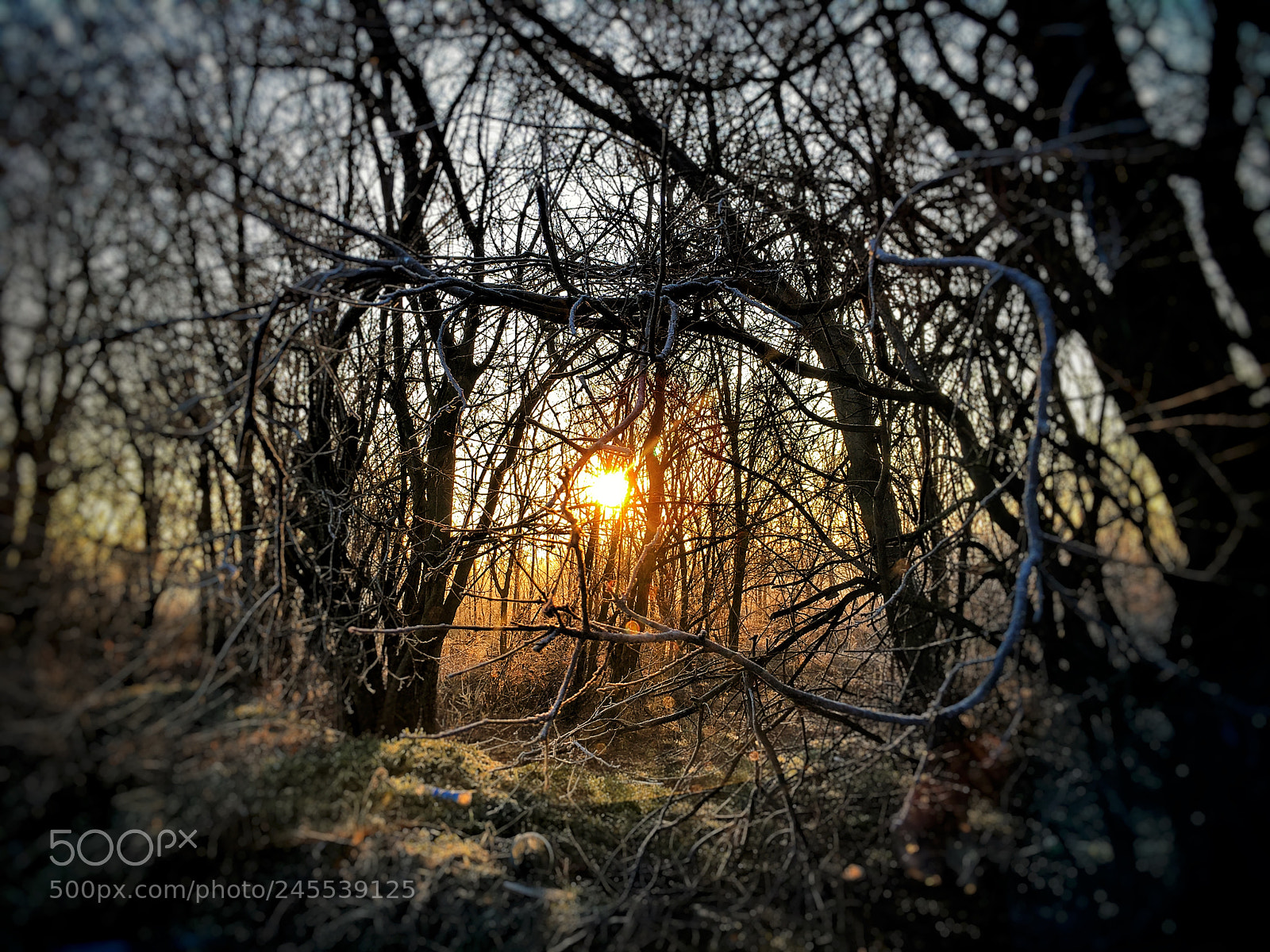 Apple iPhone 6s sample photo. Morning sunrise photography