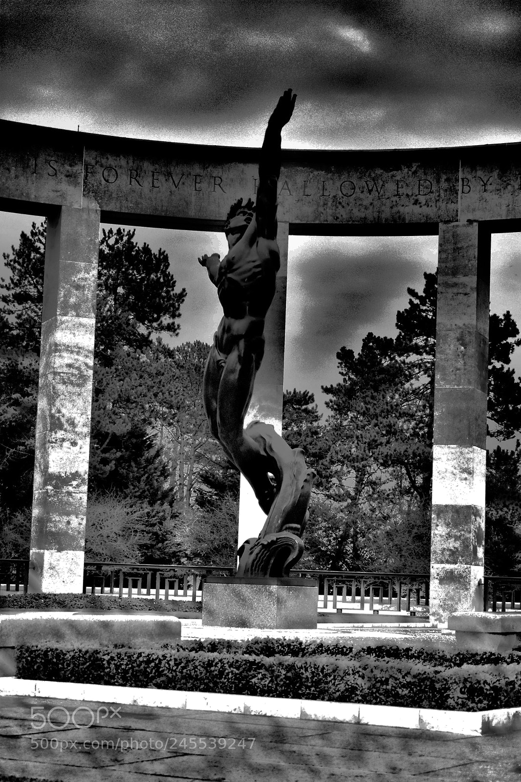 Nikon D3400 sample photo. Forever... photography