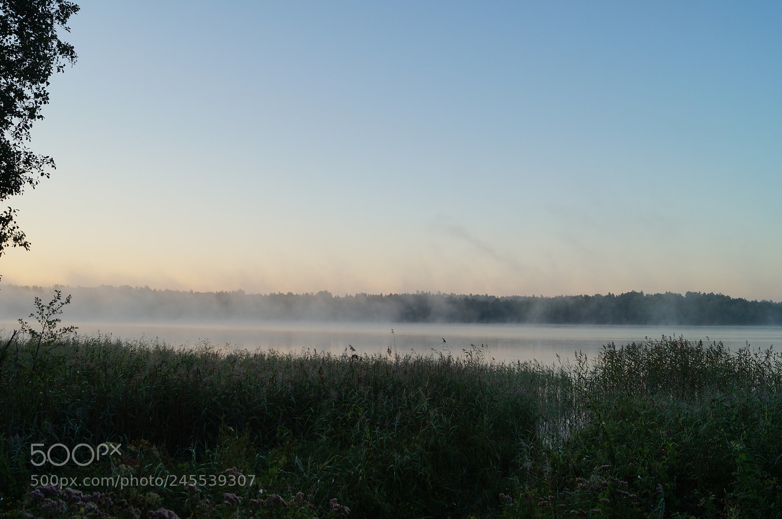 Sony SLT-A57 sample photo. Untitled photography
