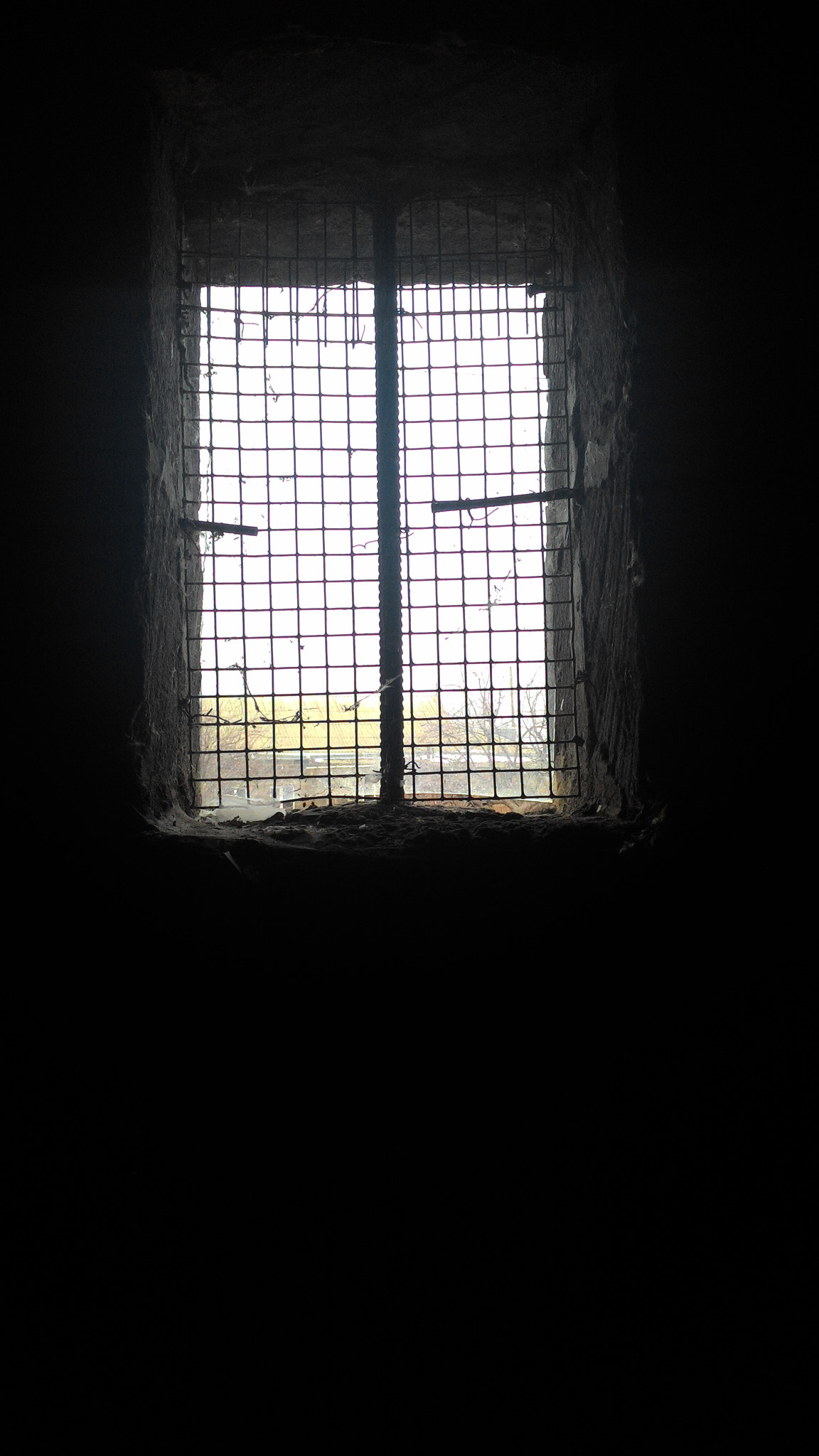 ASUS Z002 sample photo. A rather old window on a cloudy, damp day~ photography