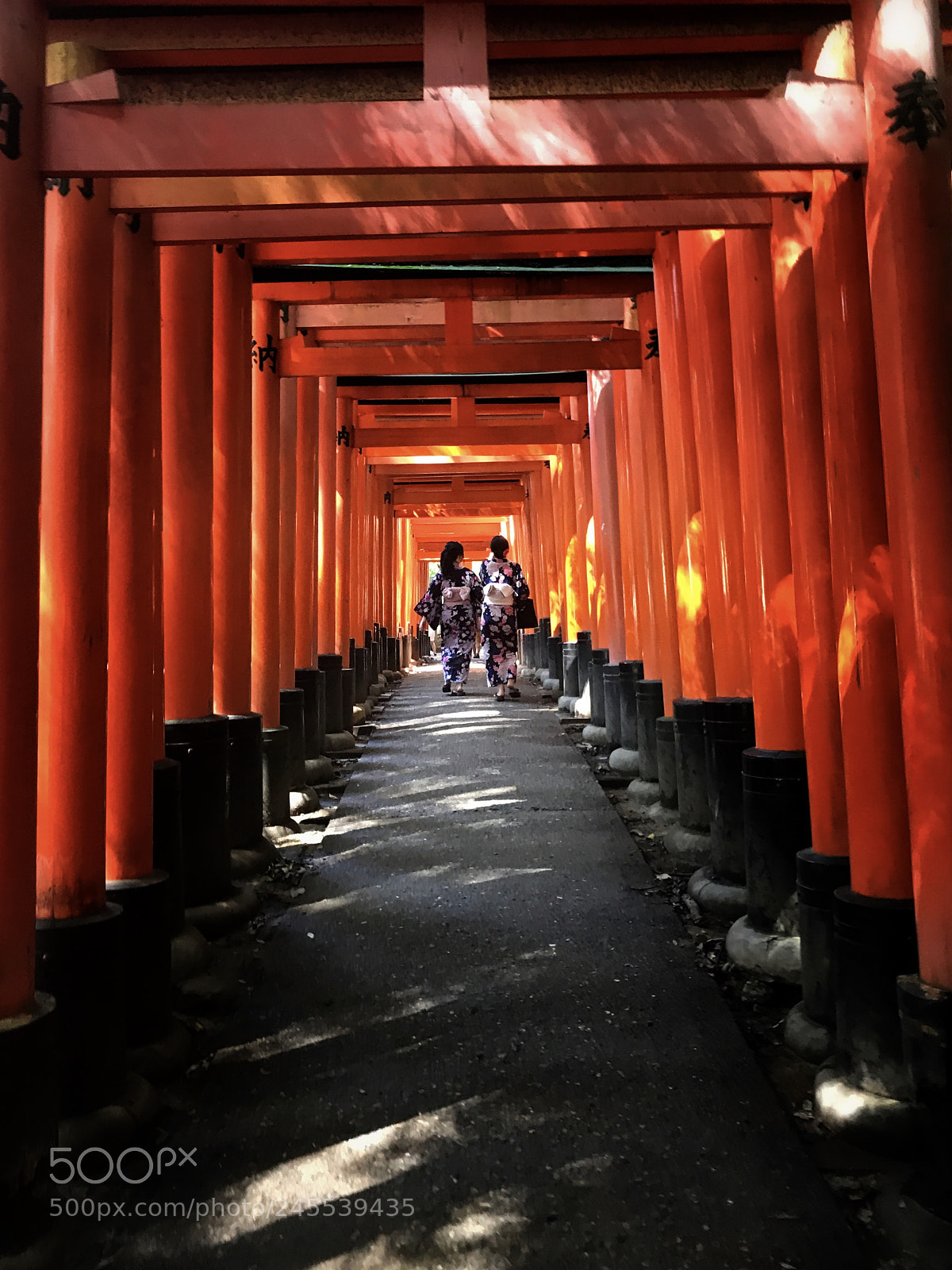 Apple iPhone 7 Plus sample photo. 1000 torii gate, kyoto photography
