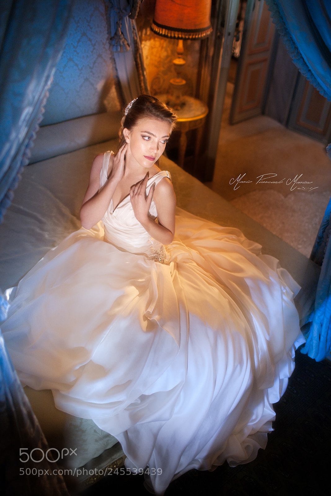 Canon EOS-1Ds Mark III sample photo. Sweet wedding dress photography