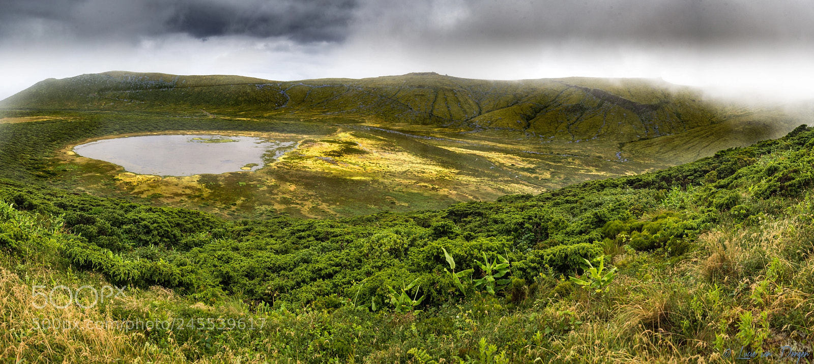 Nikon D610 sample photo. Flores panorama photography