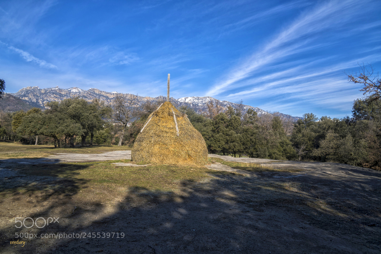 Sony a6500 sample photo. Stick of the haystack photography