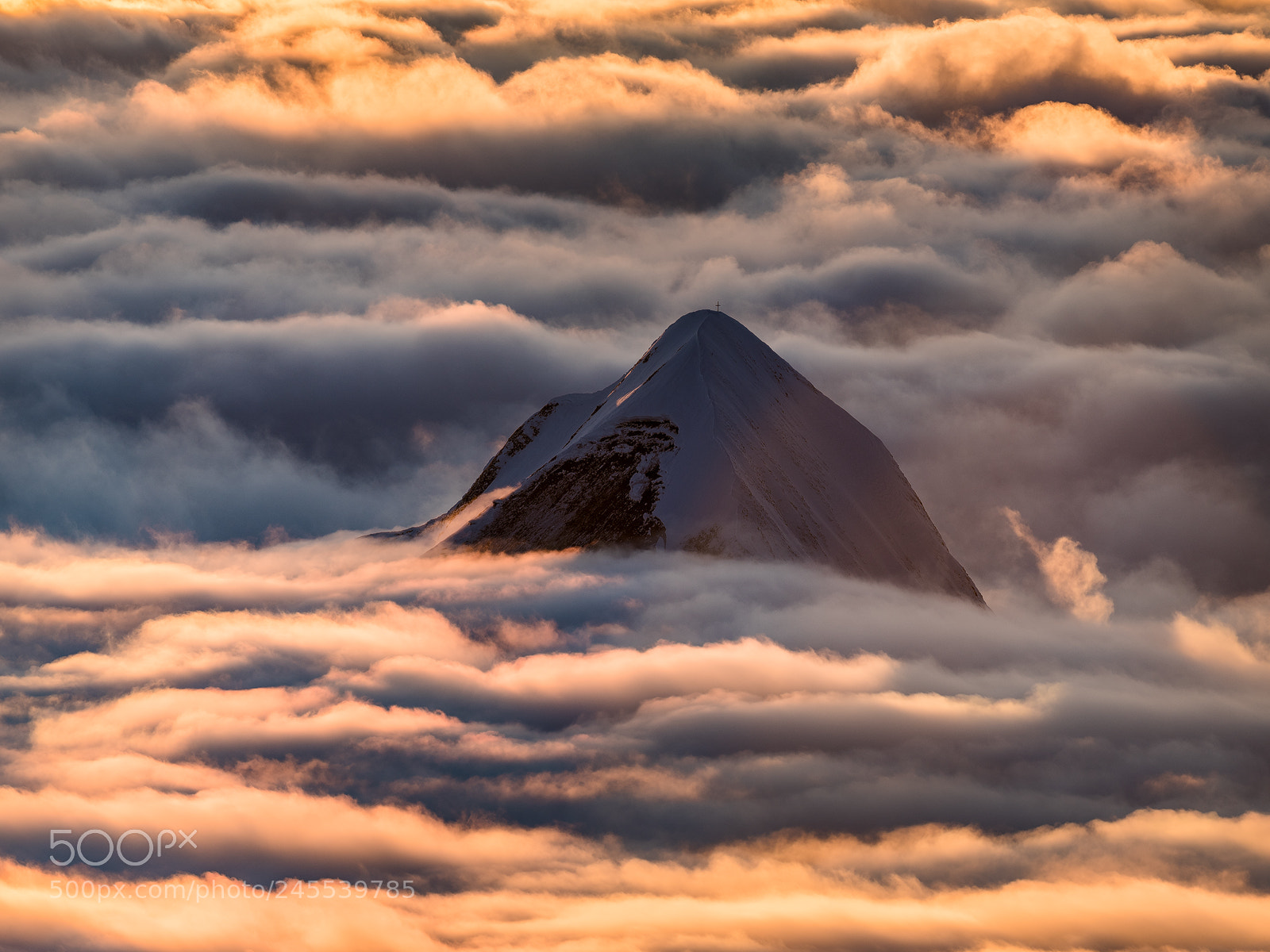 Nikon D810 sample photo. Out of the mist photography