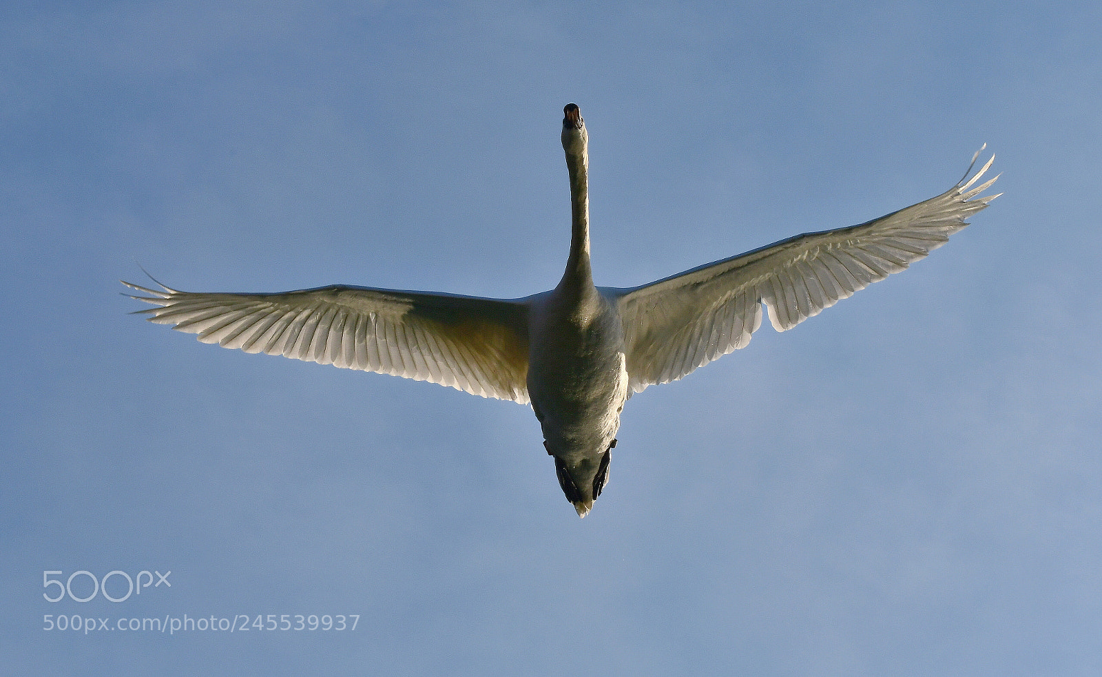 Nikon D500 sample photo. Above me photography