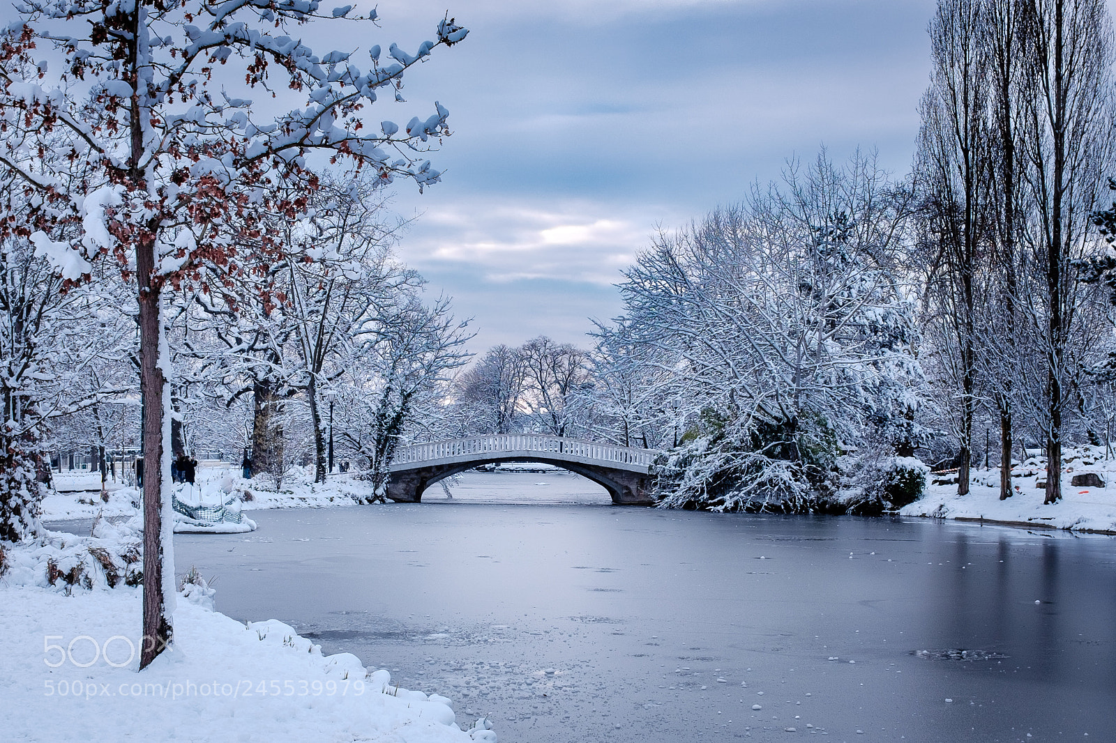 Fujifilm X100T sample photo. Winter wonderland photography