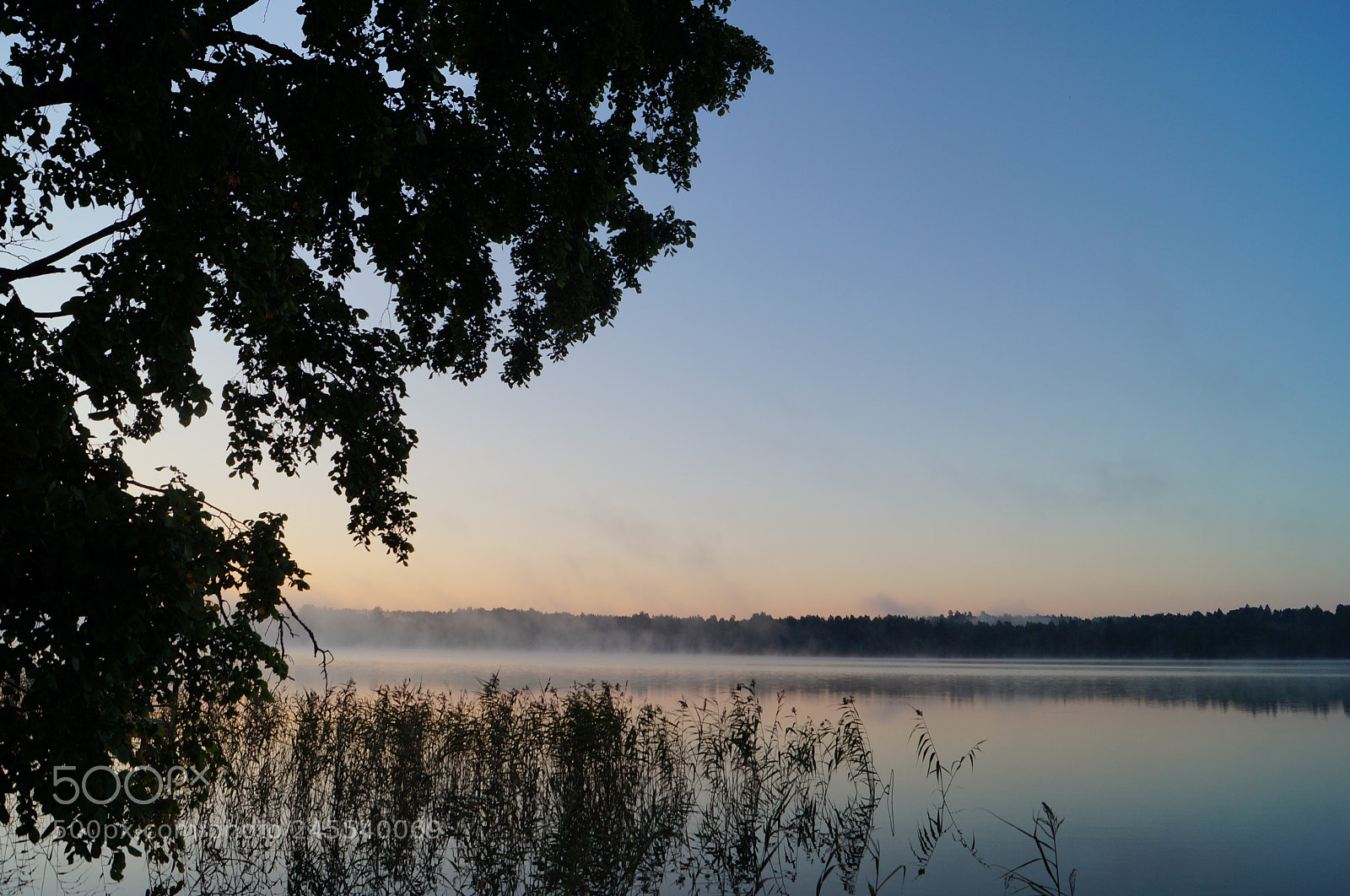 Sony SLT-A57 sample photo. Untitled photography