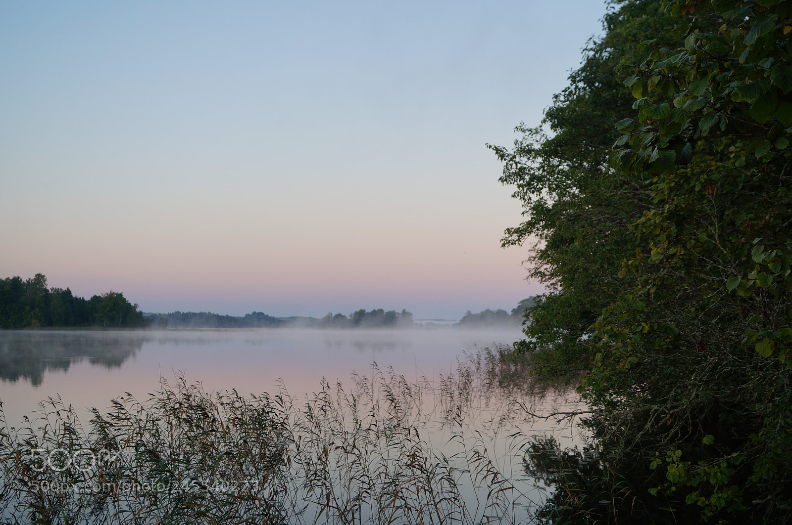 Sony SLT-A57 sample photo. Untitled photography
