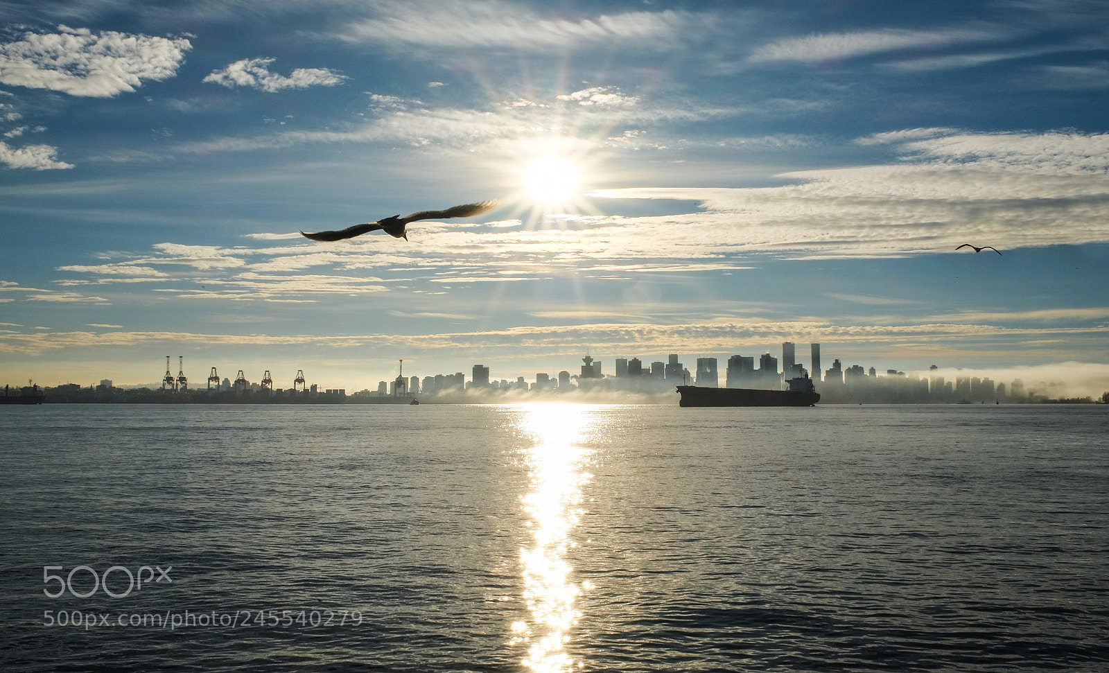 Fujifilm X-Pro1 sample photo. Fly away... photography