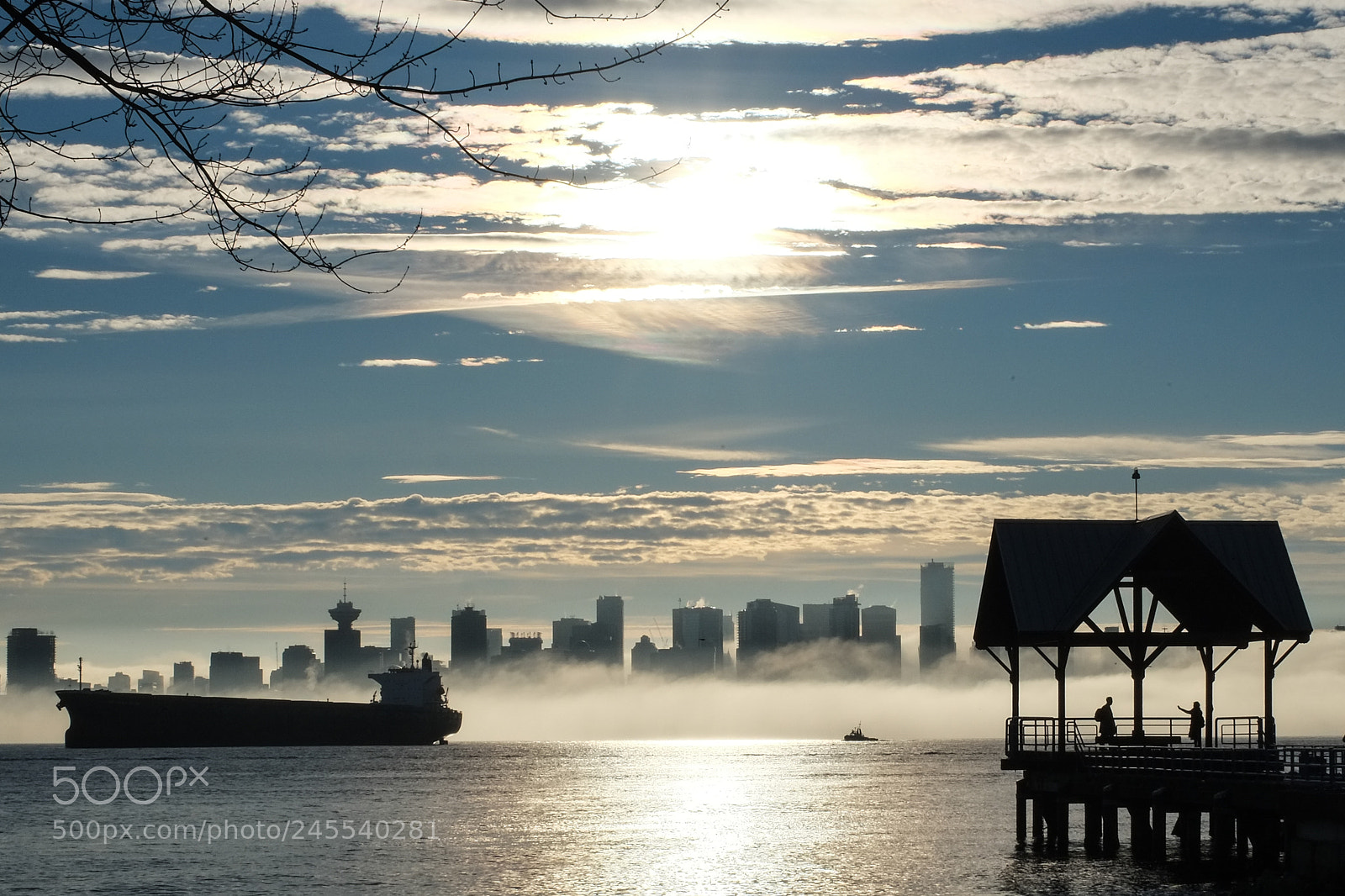 Fujifilm X-Pro1 sample photo. Winter in vancouver photography