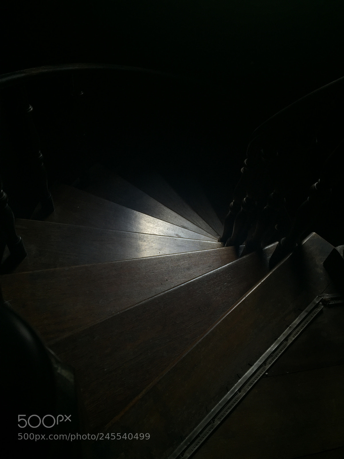 Apple iPhone 6 sample photo. Untitled photography