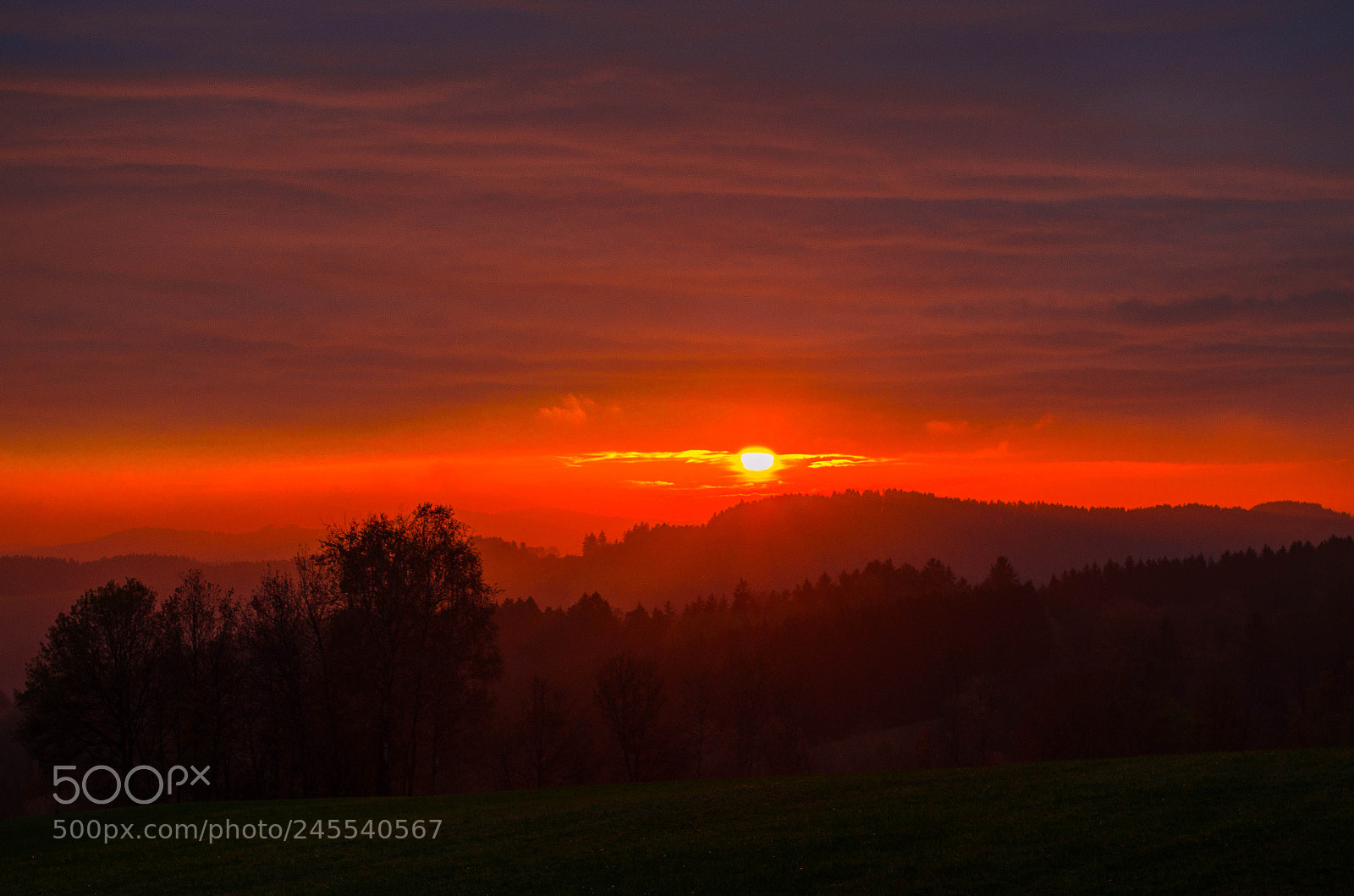 Nikon D5100 sample photo. The burning red photography
