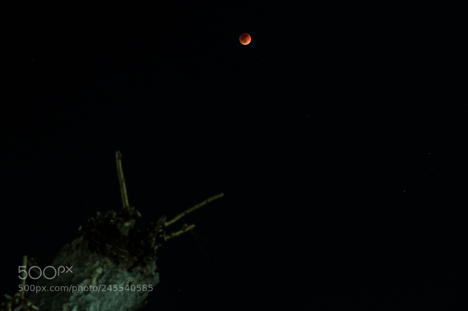 Fujifilm X-T2 sample photo. Blue moon photography