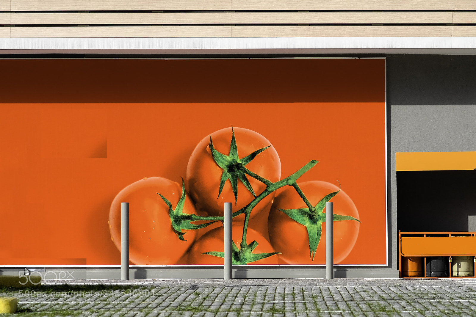 Fujifilm X-T20 sample photo. Decorative pannel on a photography