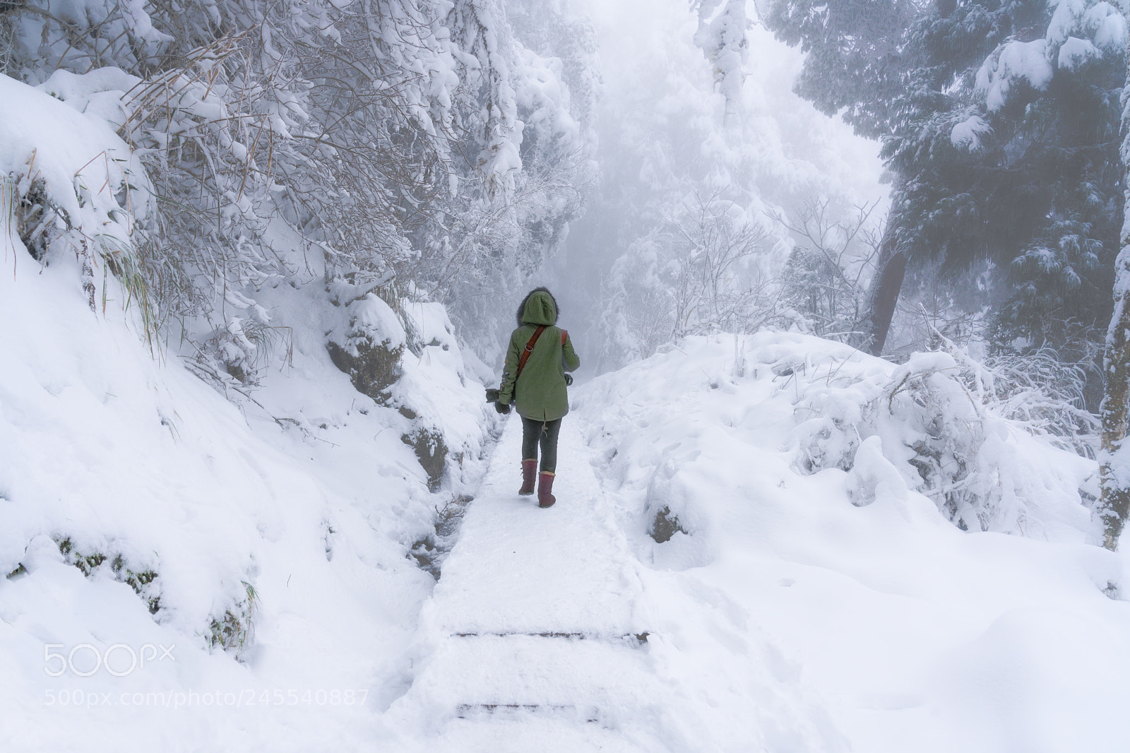 Sony a7R III sample photo. Brave the winter photography