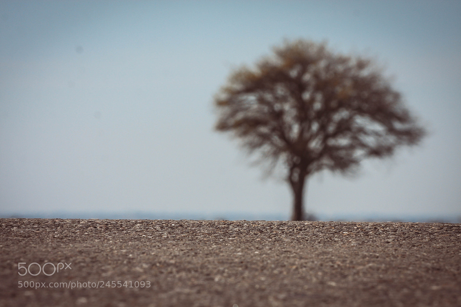 Canon EOS 40D sample photo. Pietrele doamnei photography
