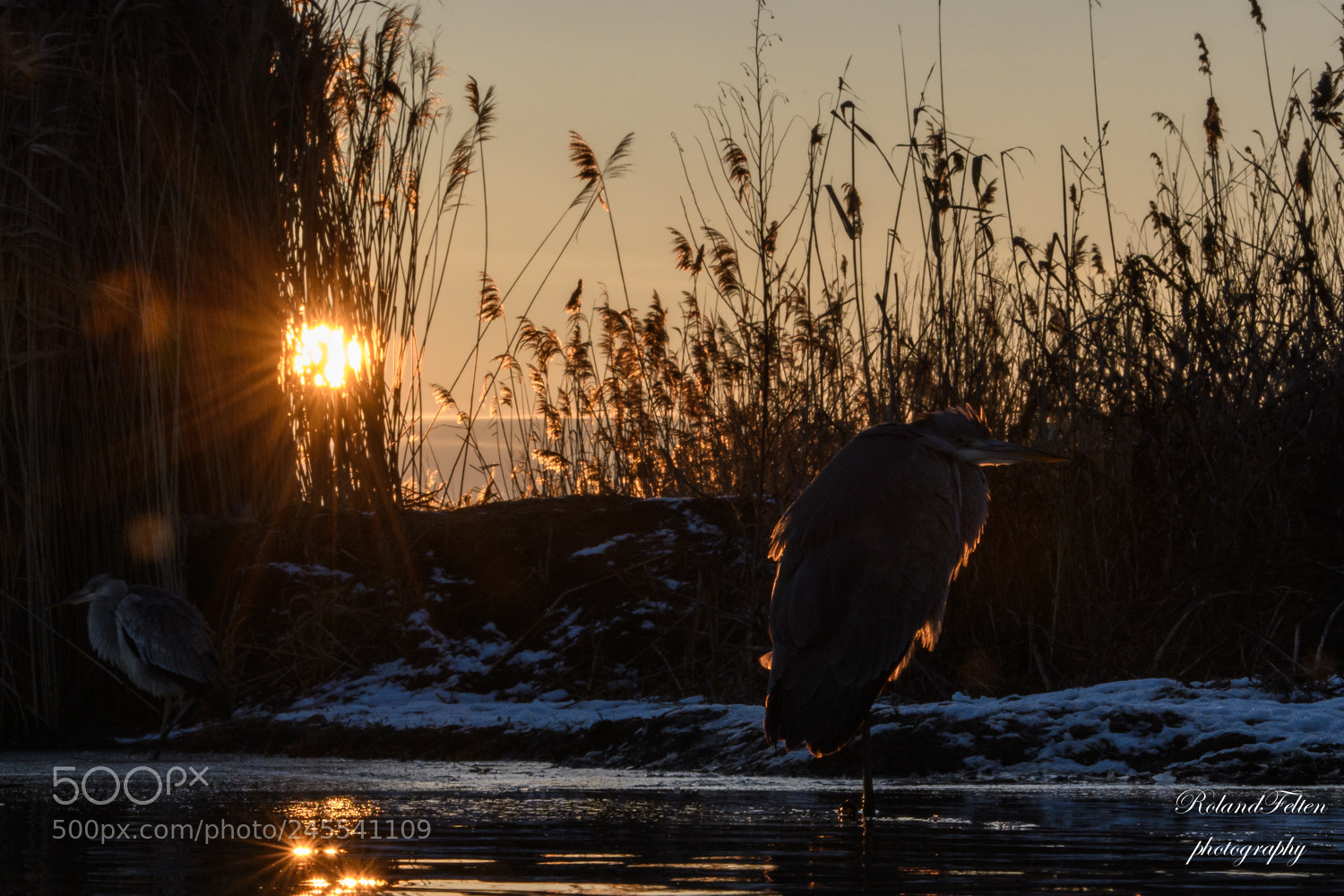 Nikon D500 sample photo. Sunrise at the lake photography