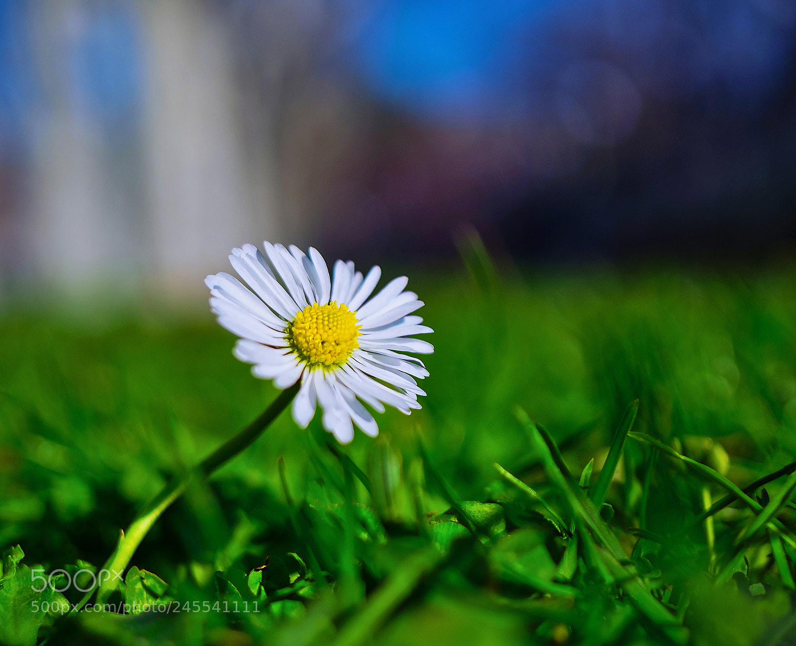 Fujifilm X-T10 sample photo. Wonderful solitude photography