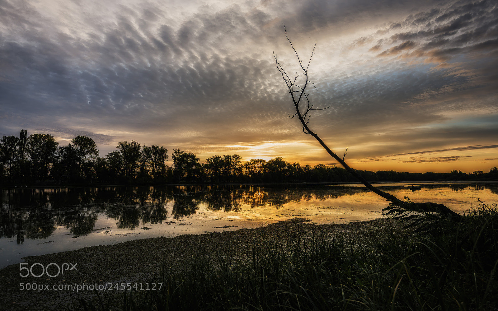 Nikon D610 sample photo. Az h tott napf photography