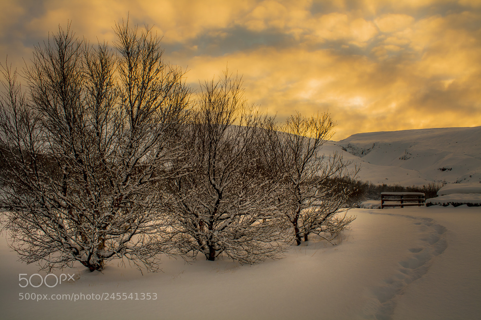 Canon EOS 1000D (EOS Digital Rebel XS / EOS Kiss F) sample photo. Sunset in winter photography