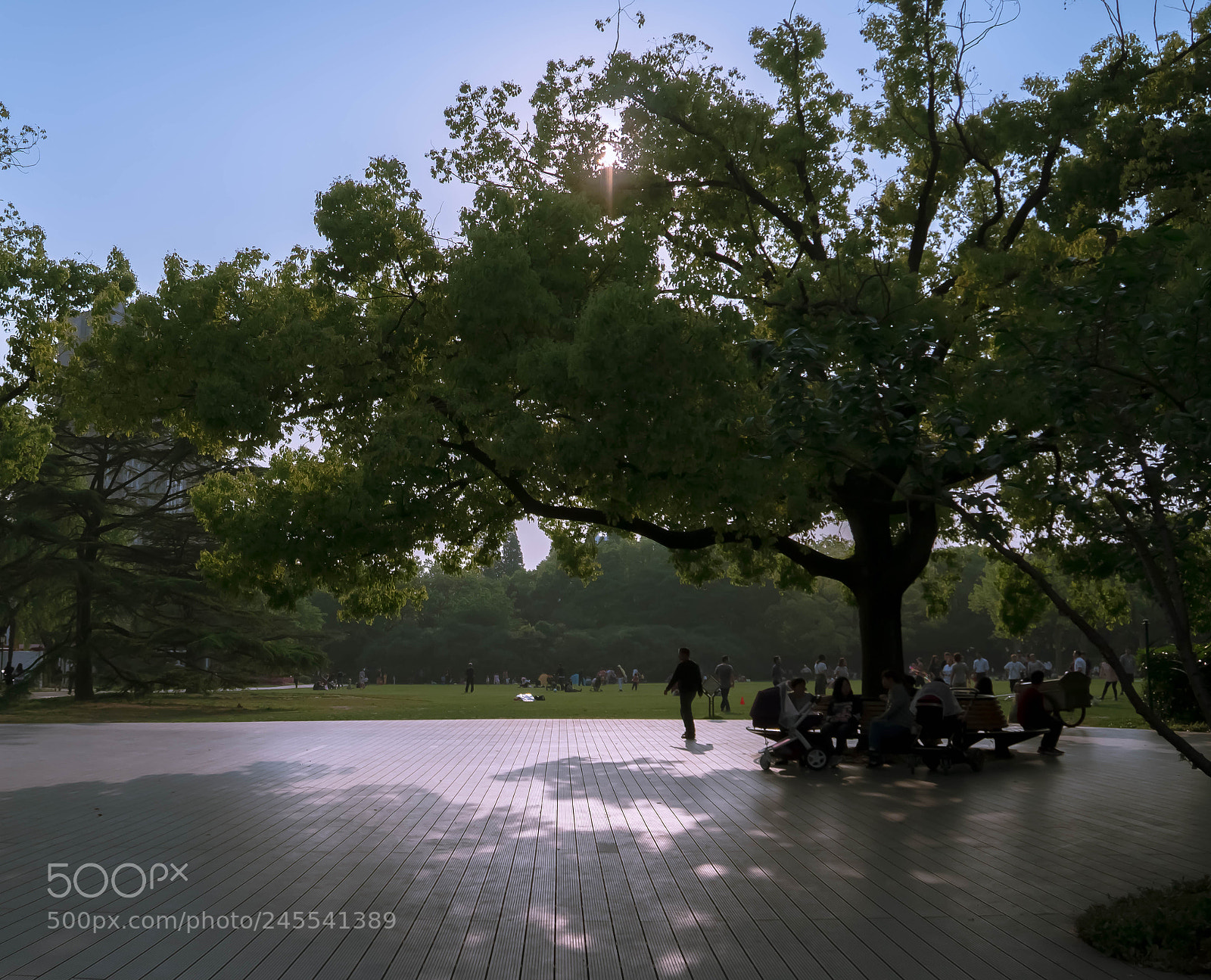 Sony a6300 sample photo. Dsc photography