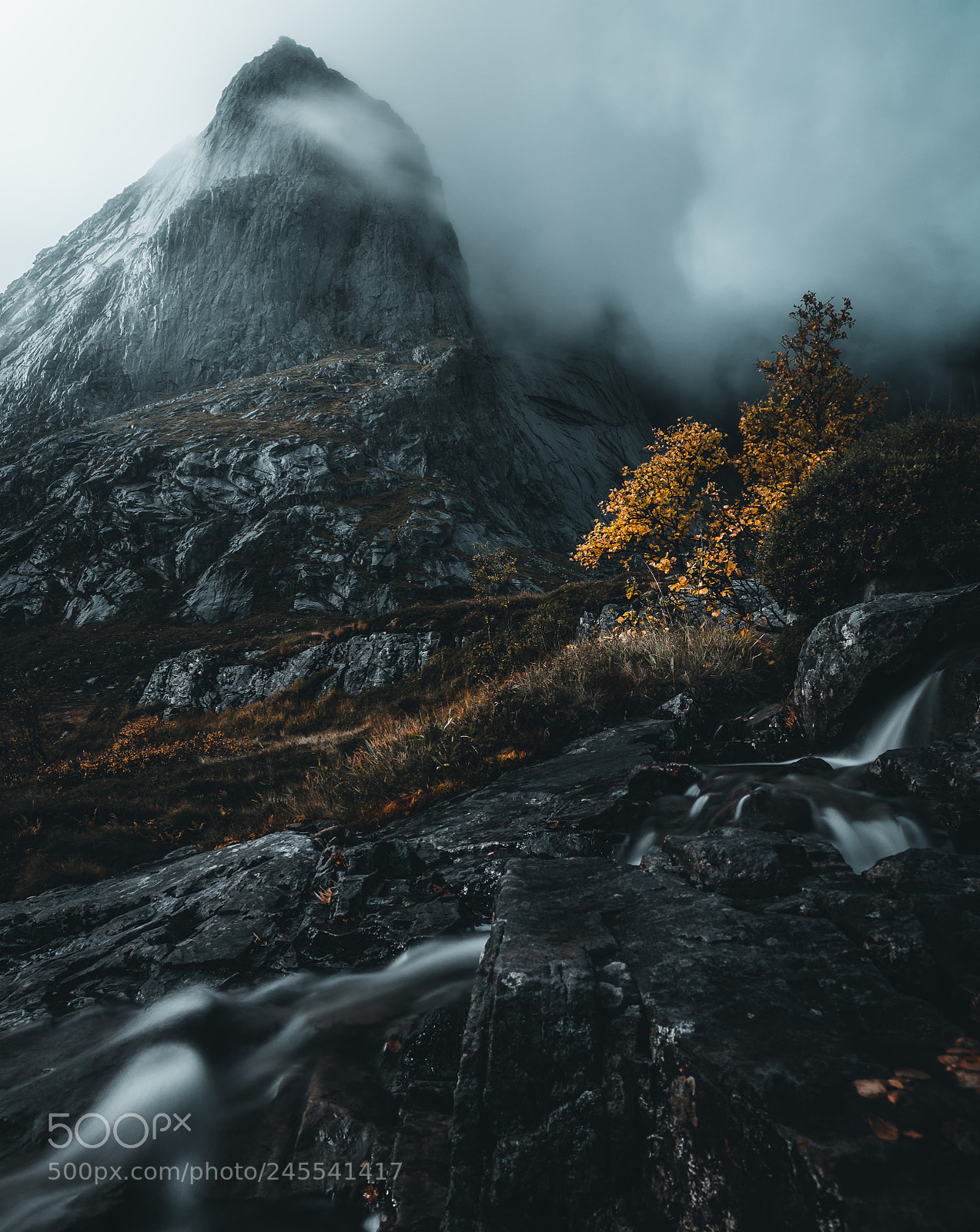 Nikon D5100 sample photo. Misty mountain photography
