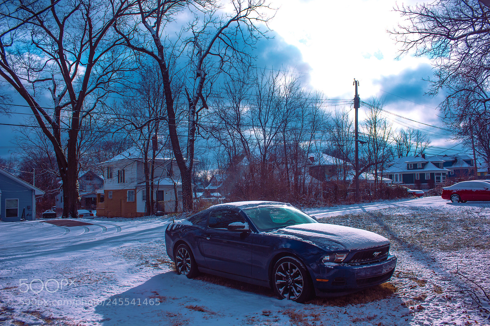 Canon EOS 550D (EOS Rebel T2i / EOS Kiss X4) sample photo. After a fresh snow photography
