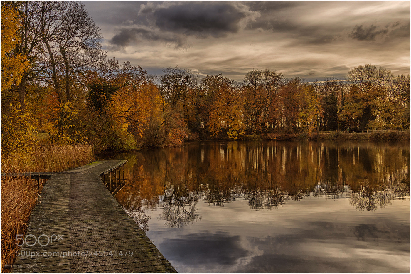 Nikon D7200 sample photo. Autumnal reflections photography