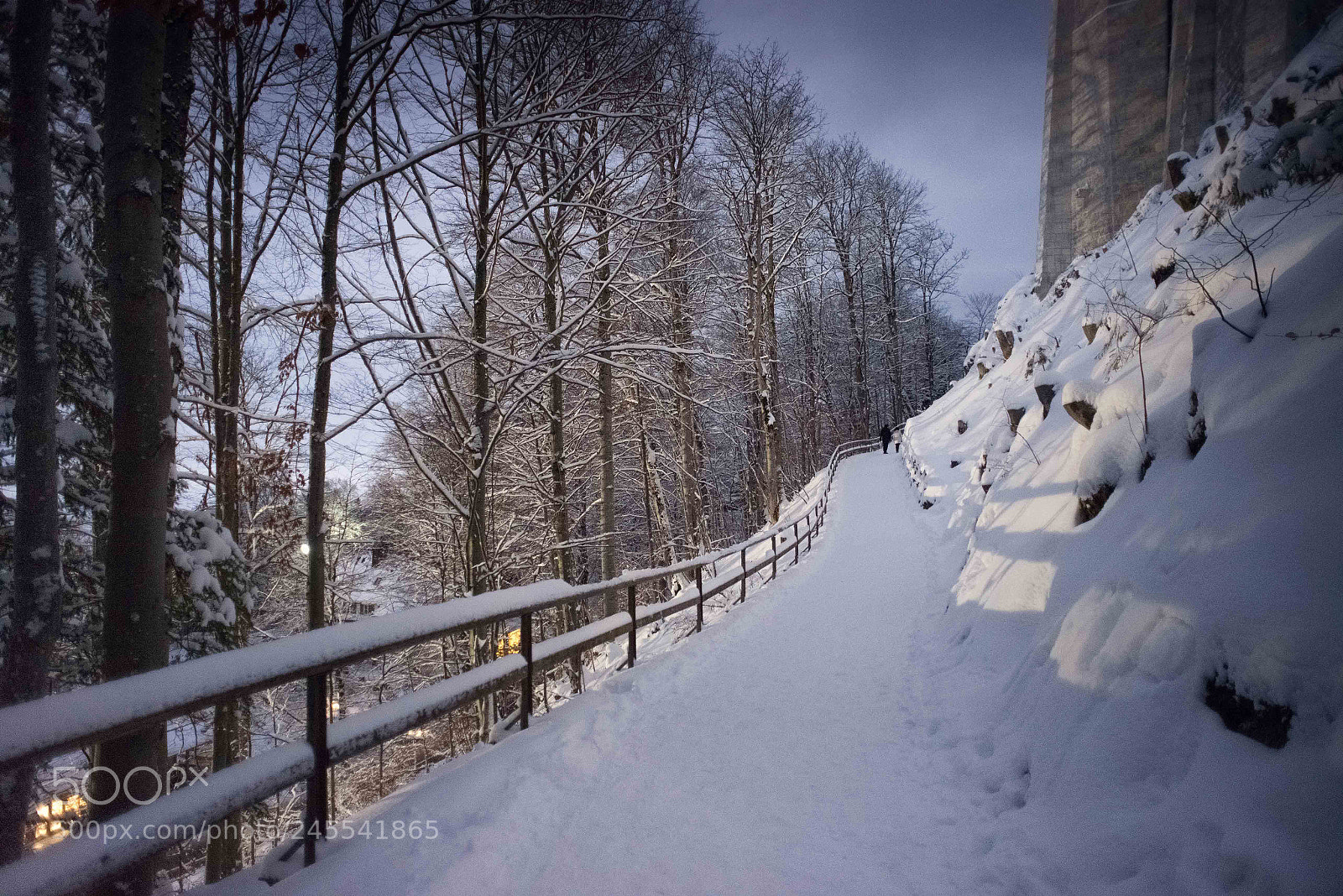 Nikon D610 sample photo. Snowy path photography