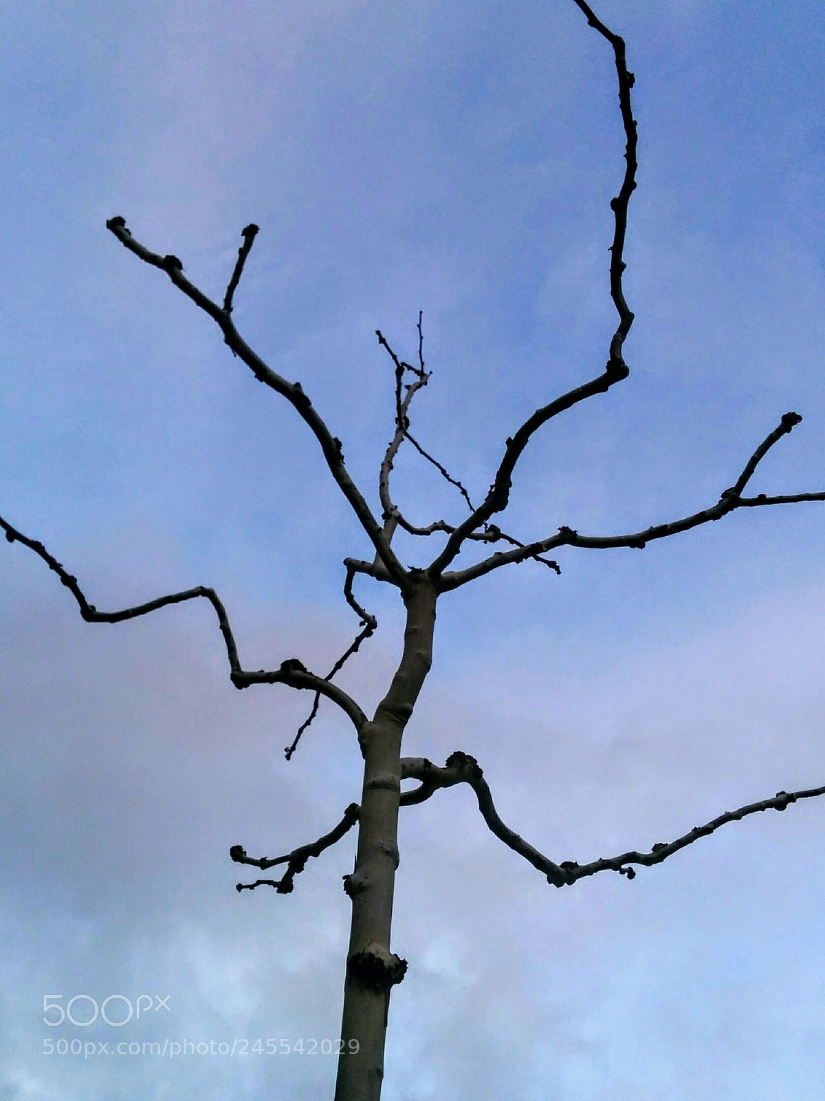 LG Nexus 5 sample photo. Formas photography