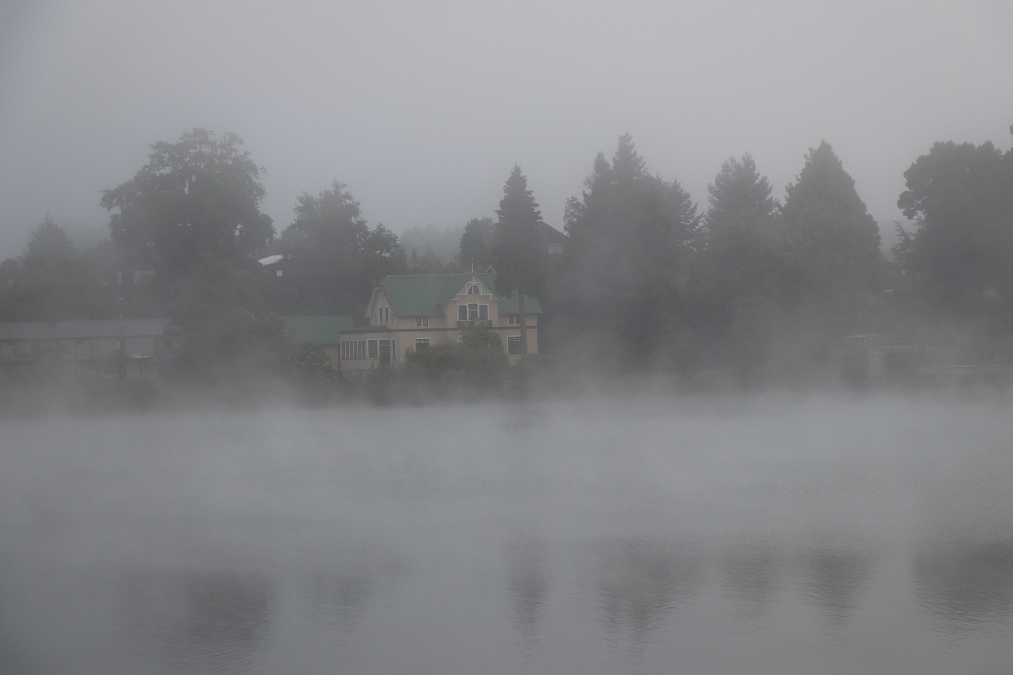 Canon EOS 77D (EOS 9000D / EOS 770D) sample photo. In the fog photography