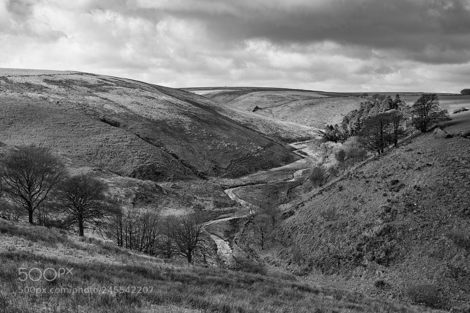 Fujifilm X-T20 sample photo. Exmoor simonsbath photography