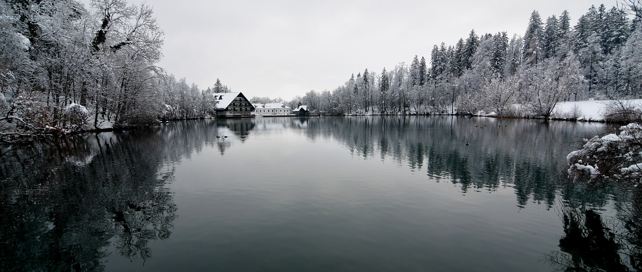 Nikon D500 sample photo. Winter in preddvor photography