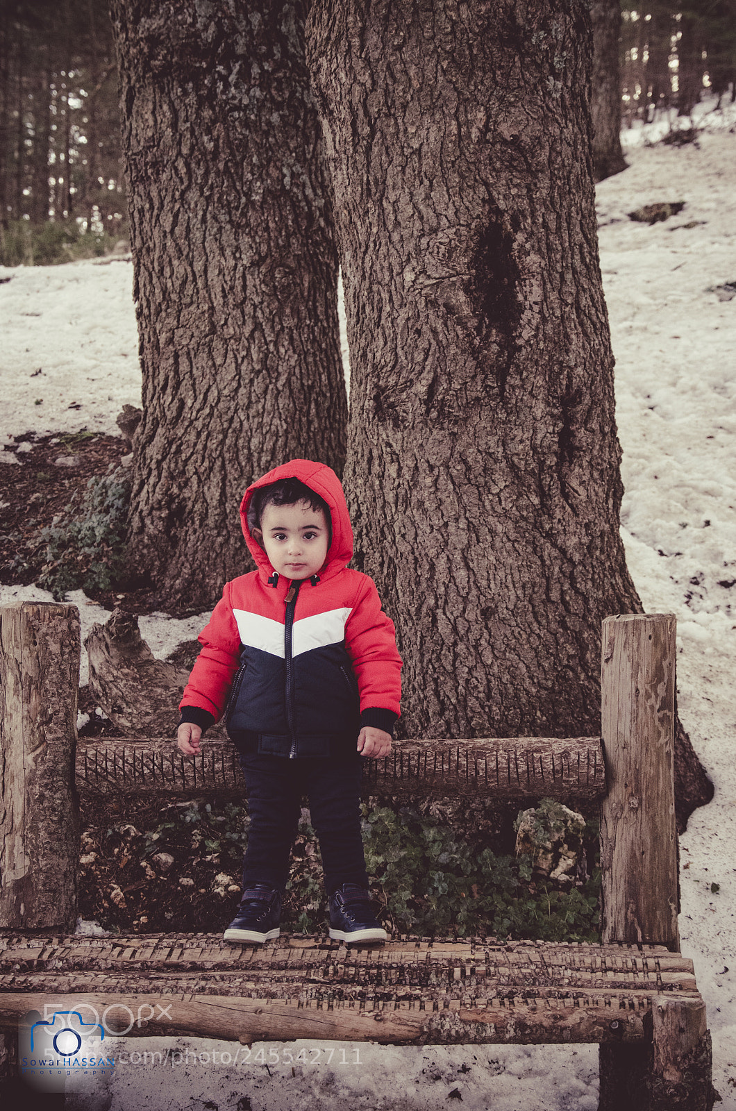 Nikon D5100 sample photo. Cold to be photography