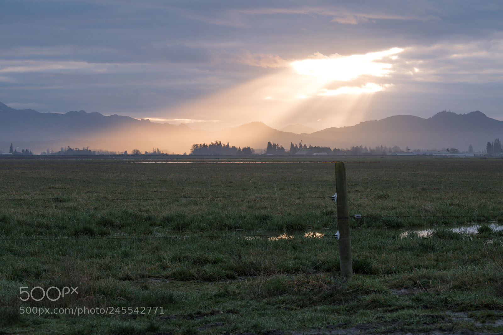 Fujifilm X-T2 sample photo. Random rays photography