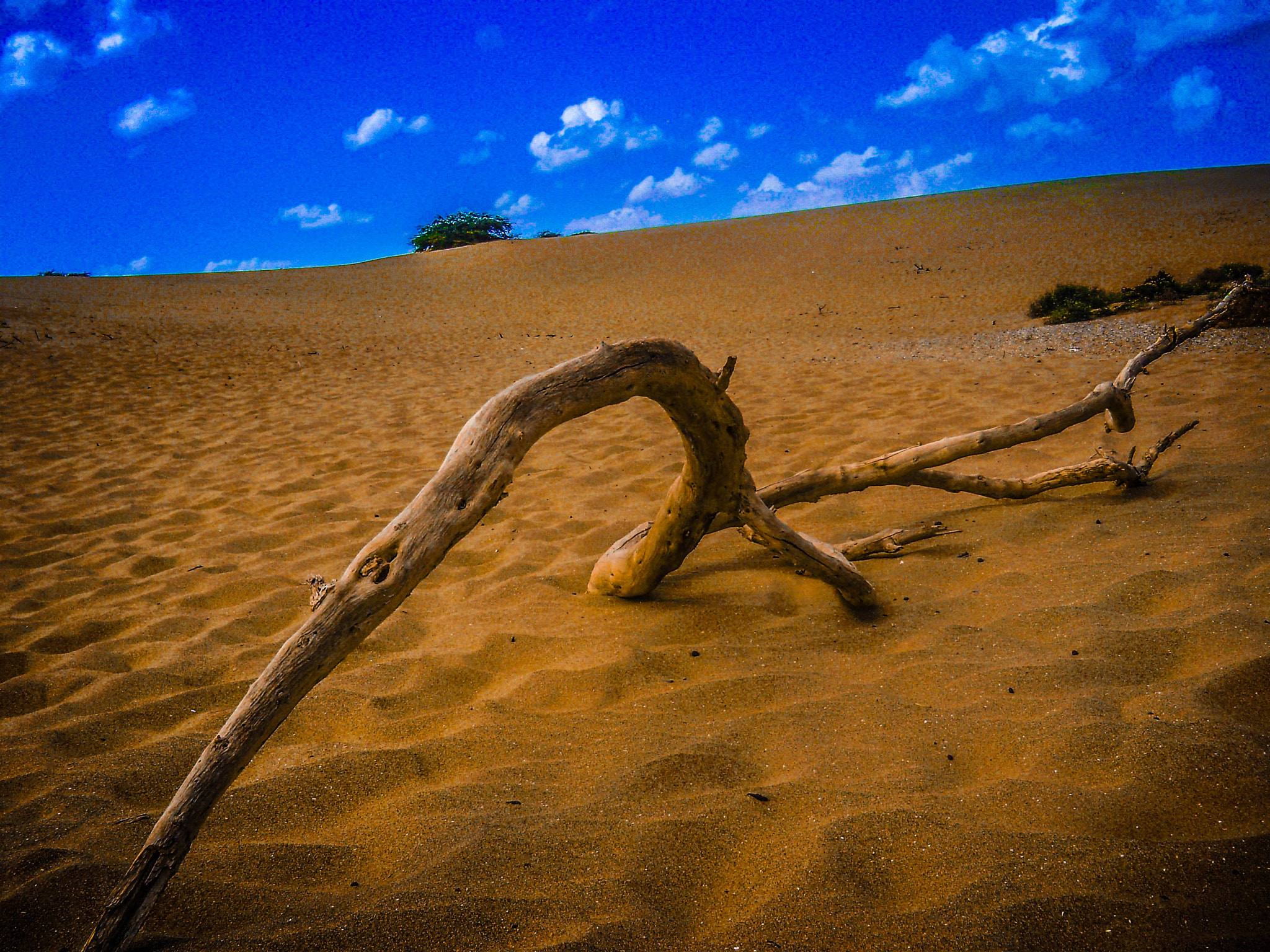 Olympus FE310,X840,C530 sample photo. Desert in venezuela. photography