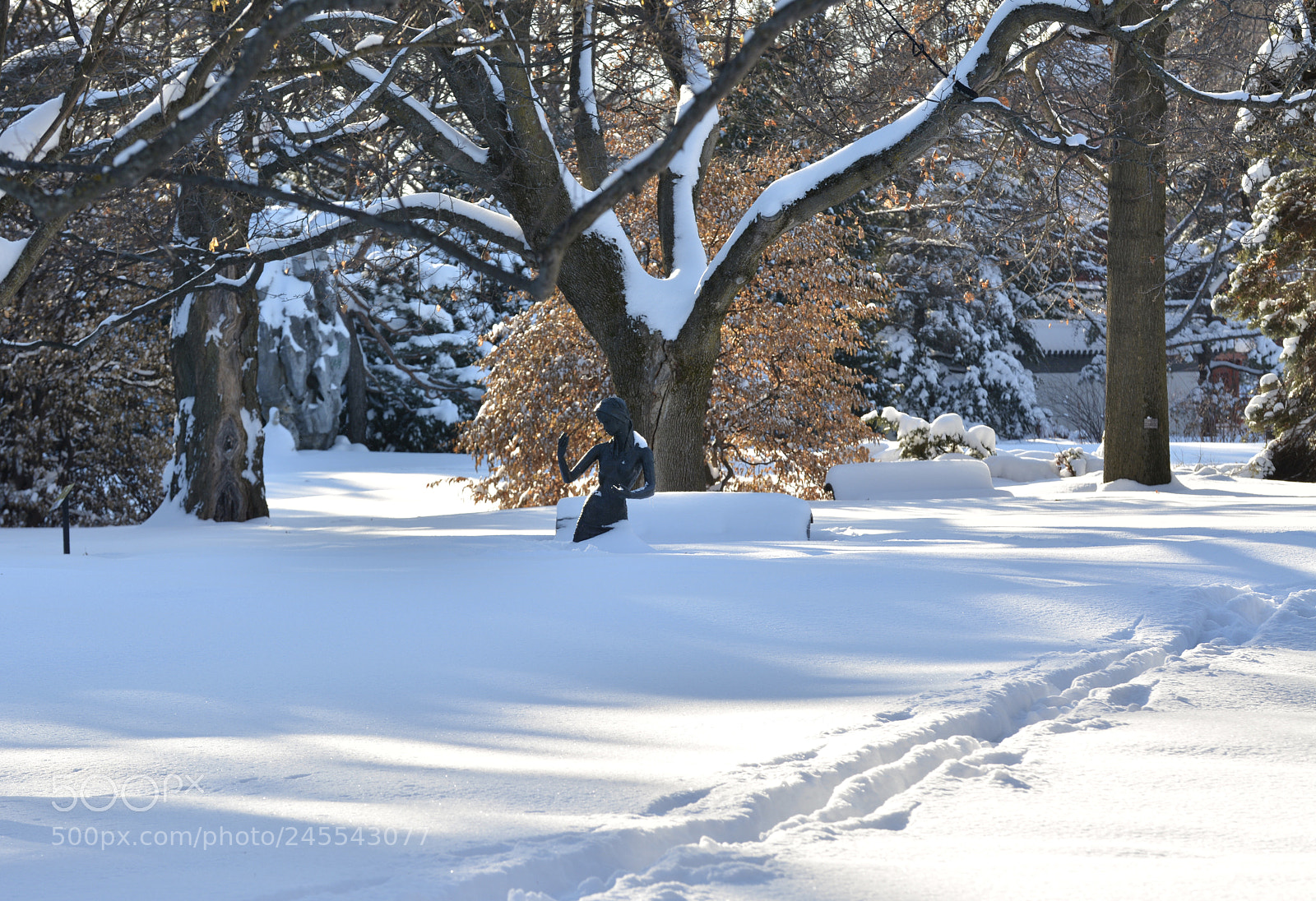 Nikon D7100 sample photo. Lady in the snow photography