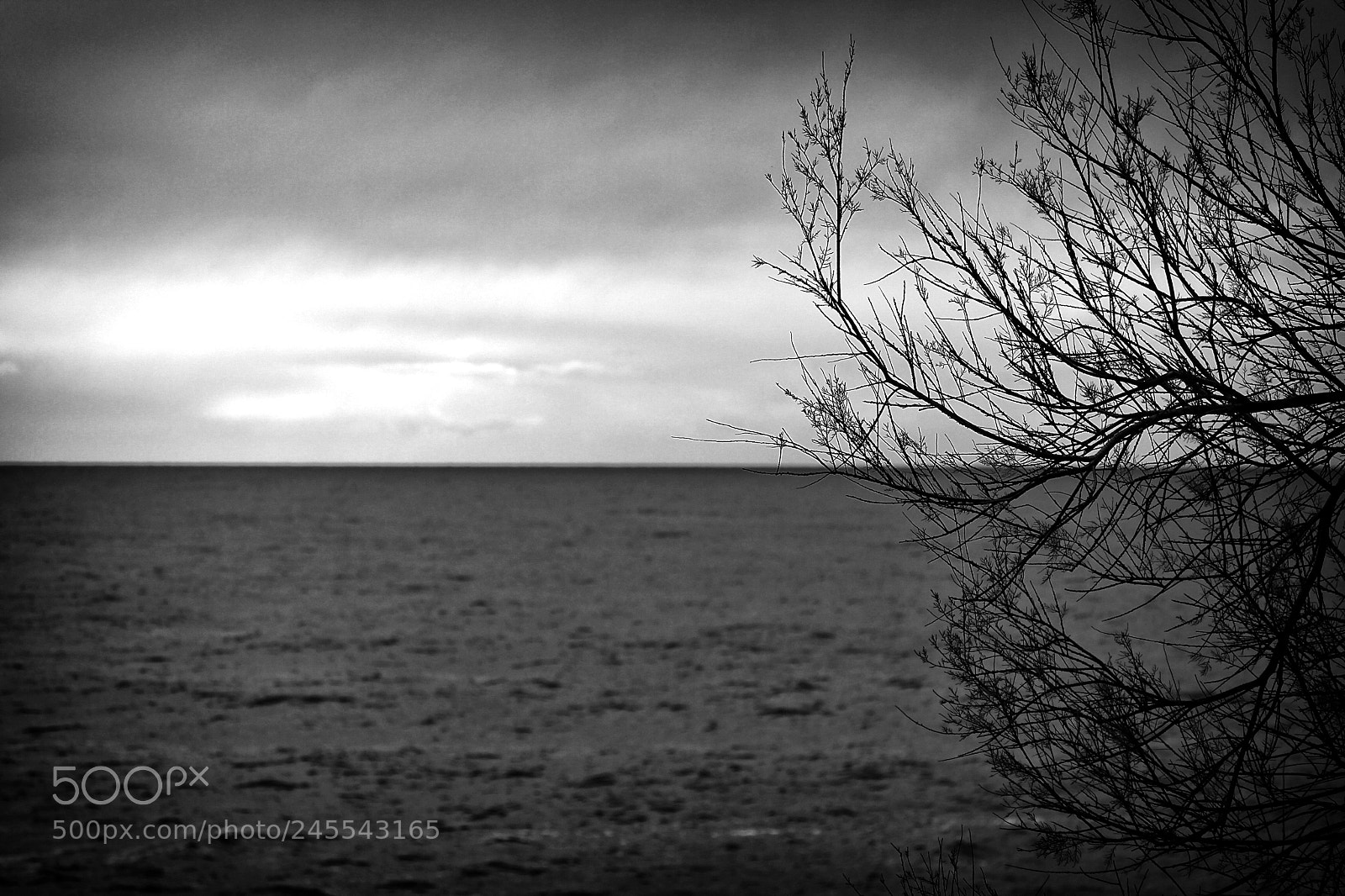 Canon EOS 50D sample photo. Horizon photography