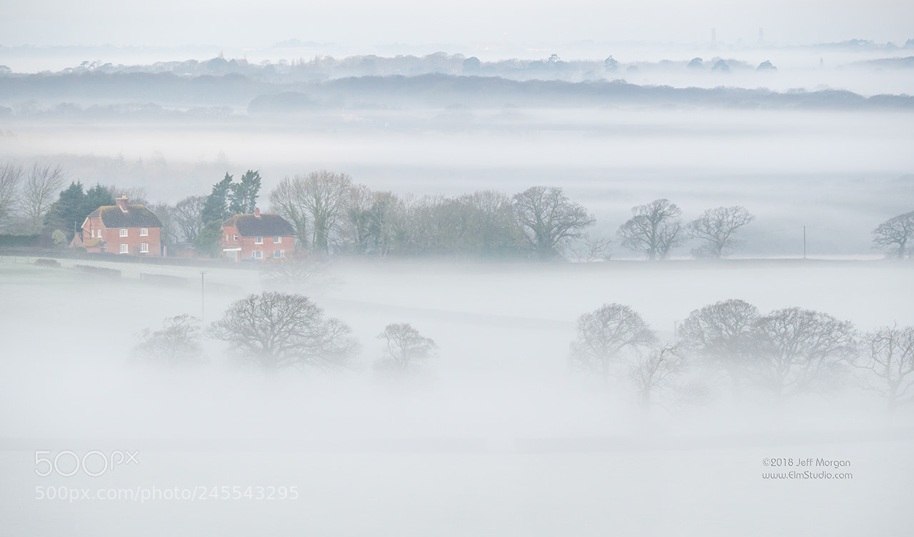 Panasonic Lumix DC-G9 sample photo. Misty morning from ashey photography