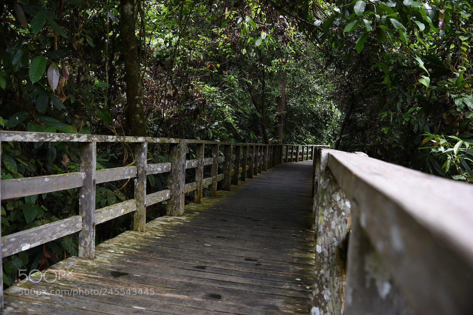 Nikon D5500 sample photo. The rails pov photography
