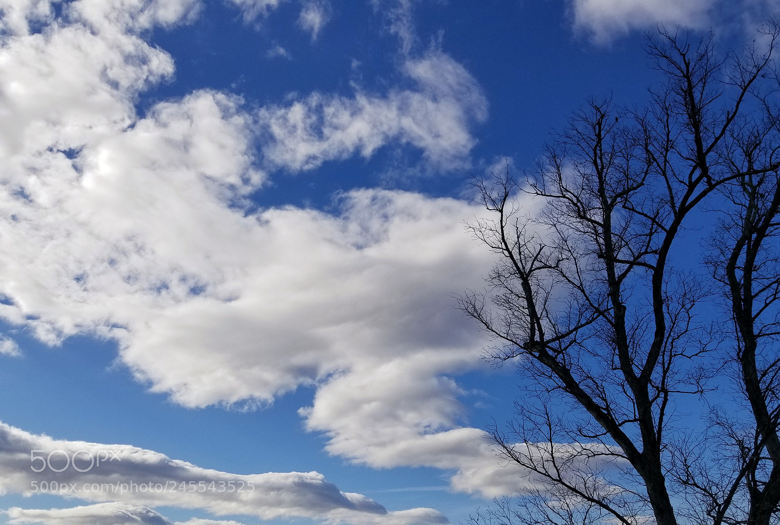 Samsung Galaxy S8 sample photo. Untitled photography
